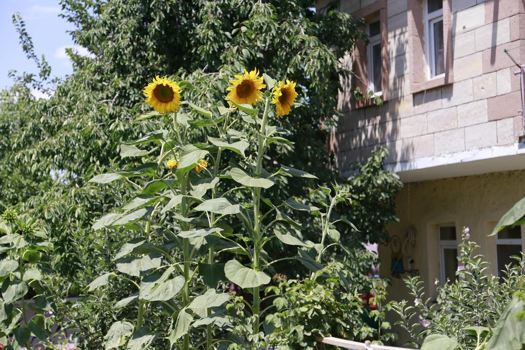 Garden Of Cappadocia Apartment Uchisar Exterior photo